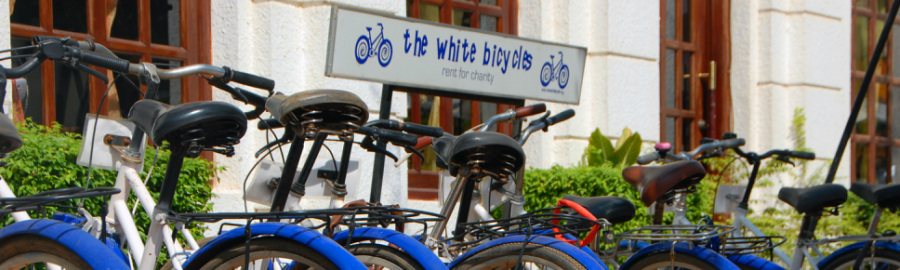 the white bicycle